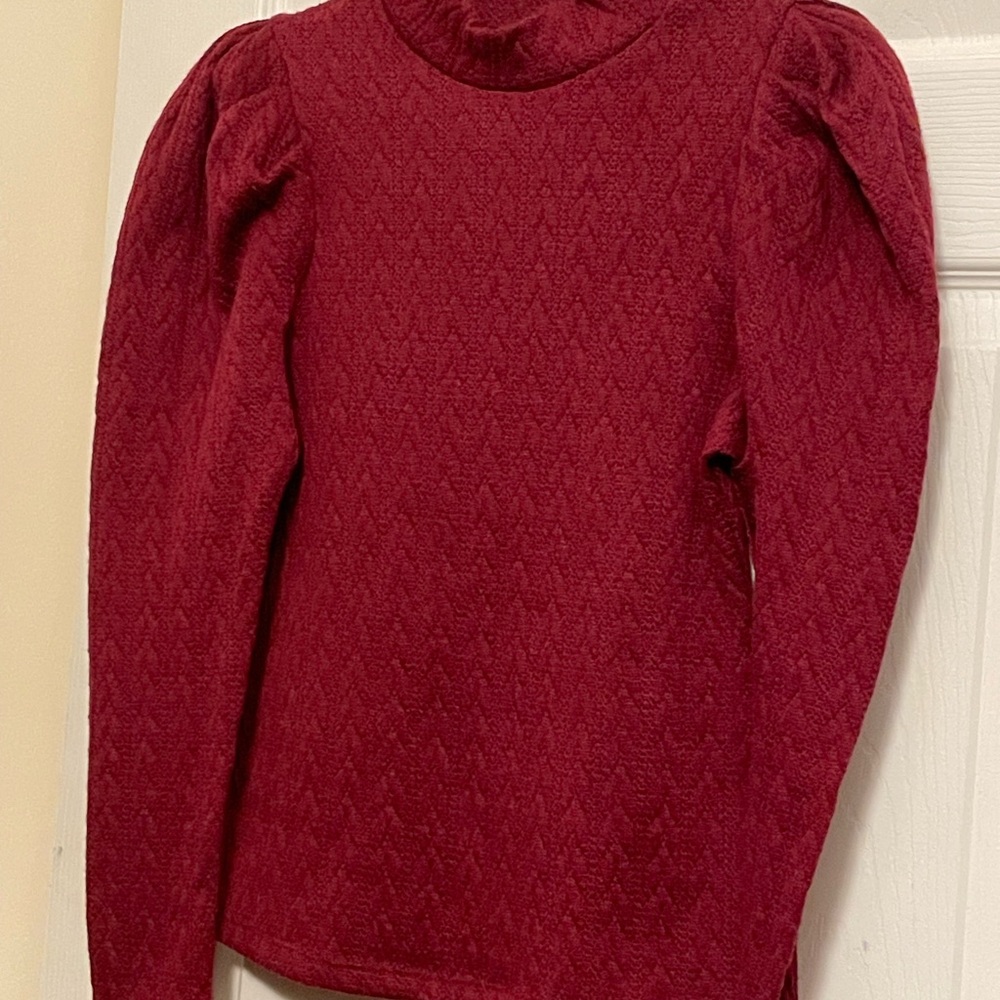 Haute Monde Deep Red Textured Long Sleeve Sweater